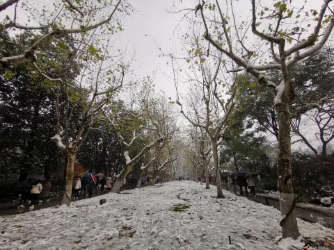 西湖边的雪景