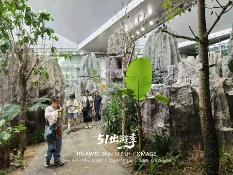 科技馆内的雨林秘境11