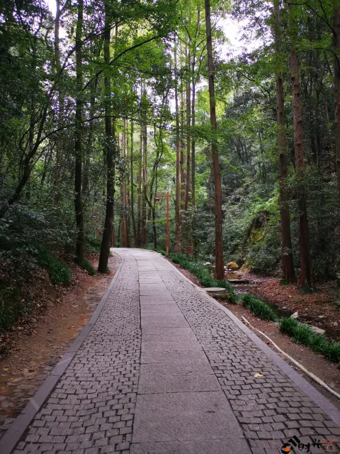 行走九溪十八涧之路