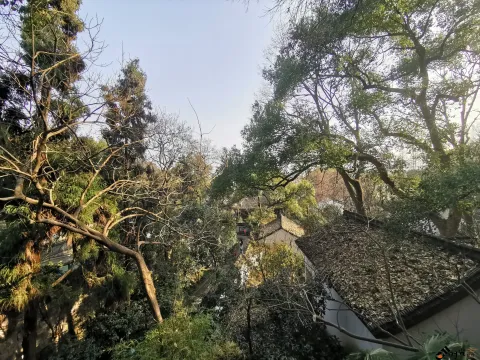 宝石山