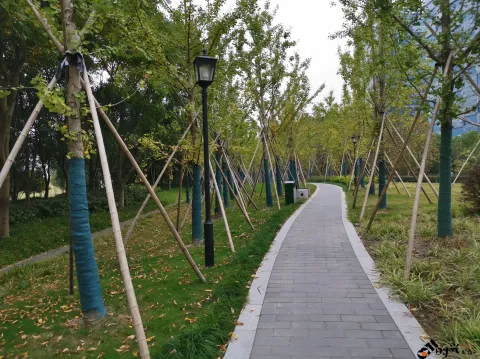 钱江南岸步行道
