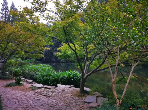 九溪路两侧的美景