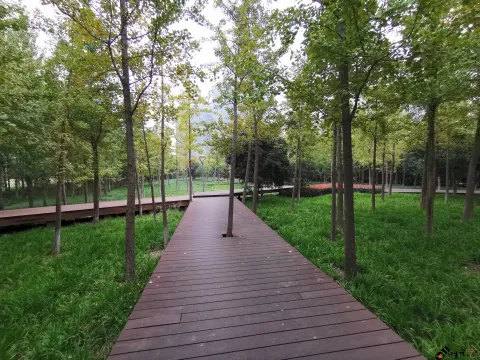 钱江南岸步行道
