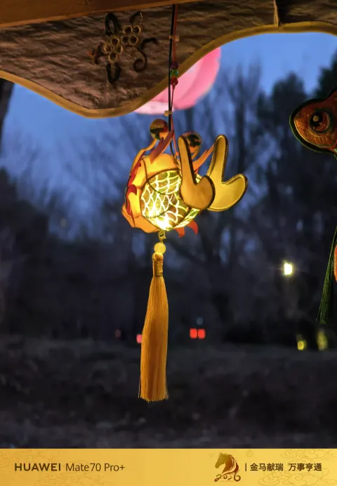 夜色中坐摇橹船赏灯7