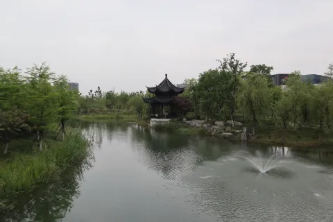桃花湖公园14
