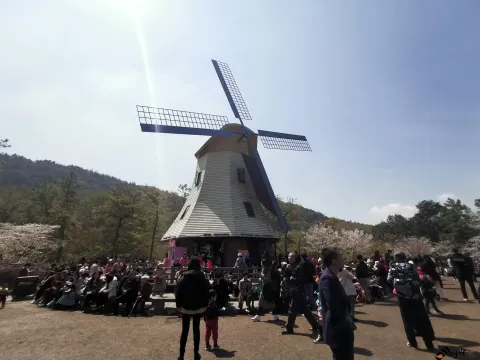 游玩太子湾公园的游人如潮