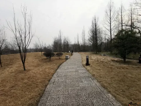 西溪国家湿地公园