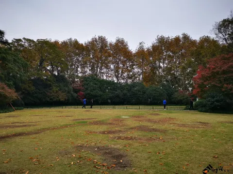 西湖，孤山上的大草坪