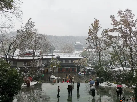 雪天下的雷峰塔