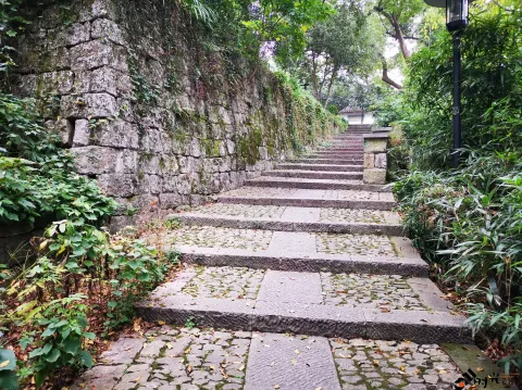 中国茶叶博物馆（龙井馆区）