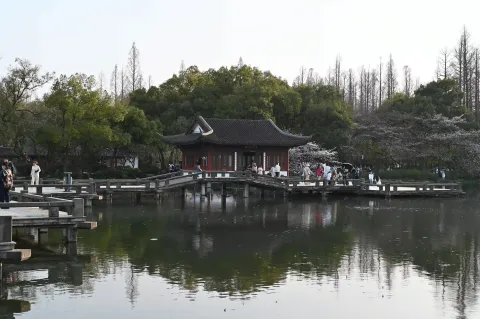曲院风荷岳湖5