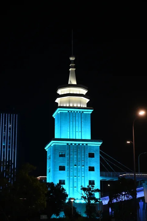 舟山港岛大桥夜景8