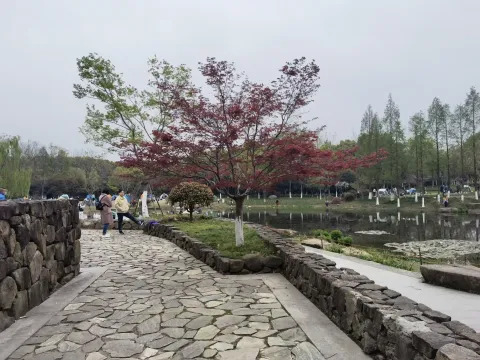 千桃园10
