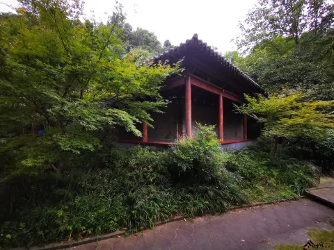 龙井路，龙井问茶，寻龙井古址