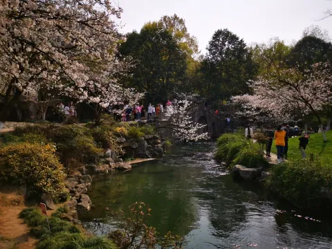 太子湾踏春40