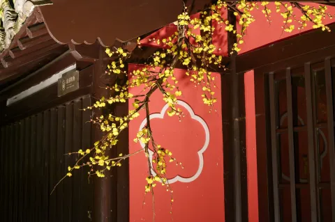 夜幕下的沈园14