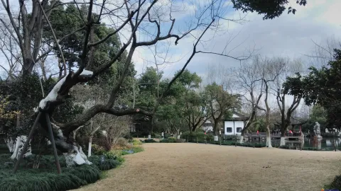 小瀛洲岛上风景