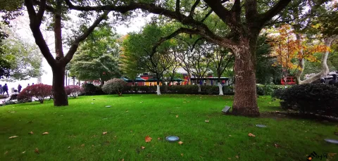 初冬，西湖湖滨的景色