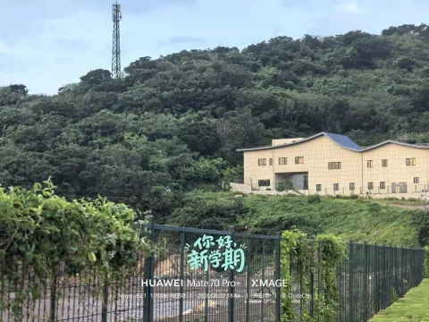 绿意漫栏
