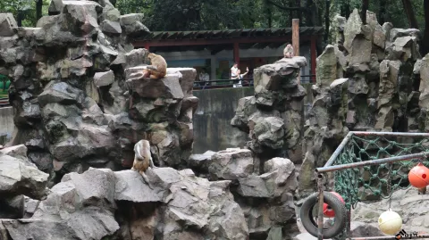 杭州动物园