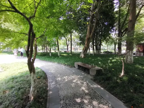 钱江新城森林公园
