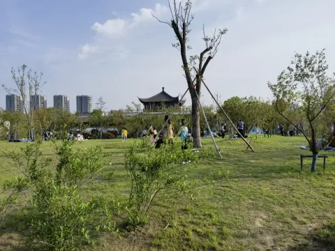 桃花湖公园10