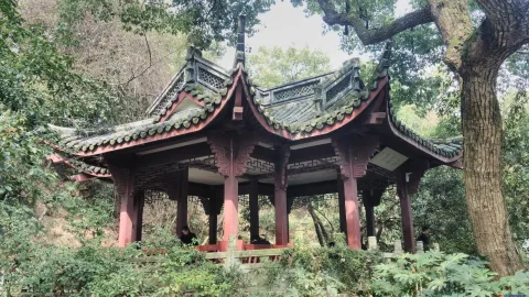 中山公园