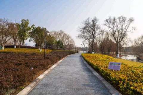 西山漾城市湿地公园14