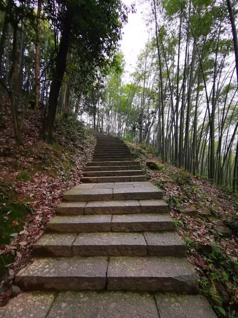 五云山64