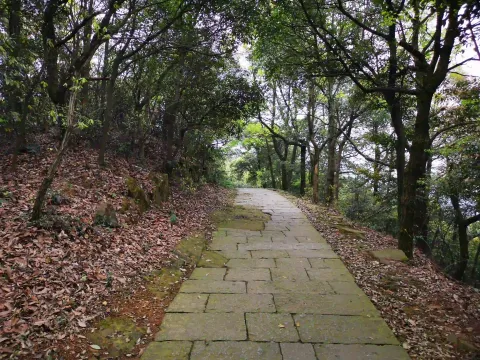 五云山47