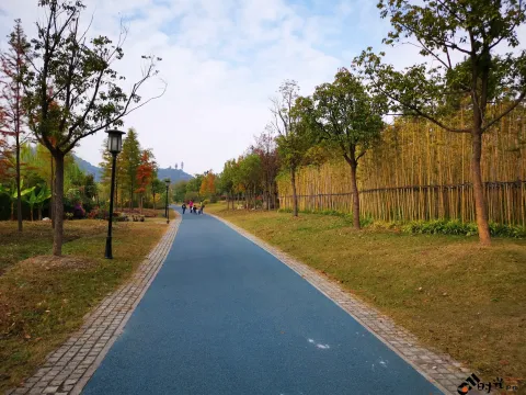 湘湖东岸的人行走道