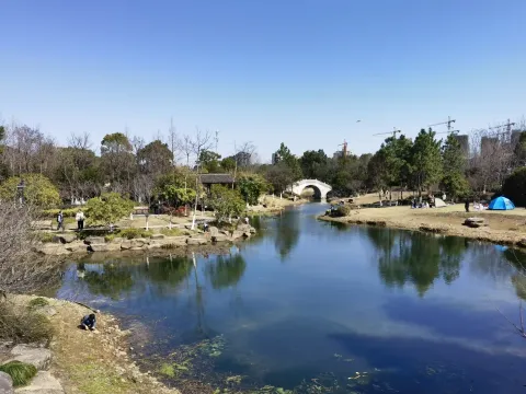 千桃园9