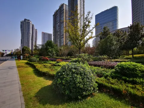 钱江南岸风景