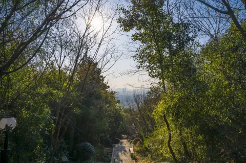 仁皇山爬山走道12