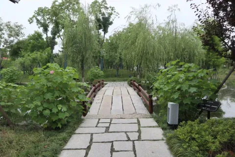 桃花湖公园4