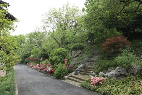 中国茶叶博物馆龙井馆区