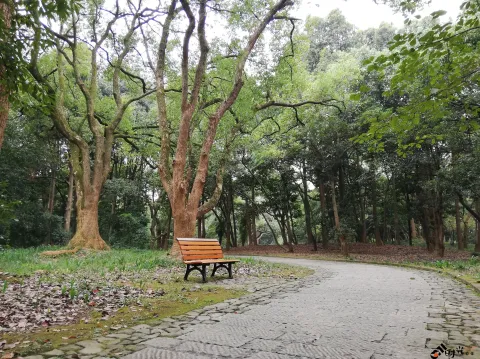 杭州植物园