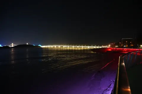 舟山临城夜景7