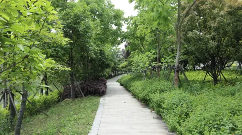 杭州国际博览中心南侧景色