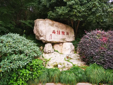 满陇桂雨公园（儿童公园）