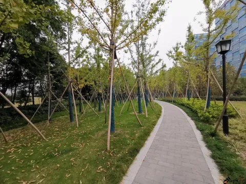 钱江南岸步行道