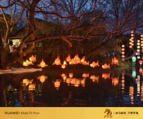 夜色中坐摇橹船赏灯12