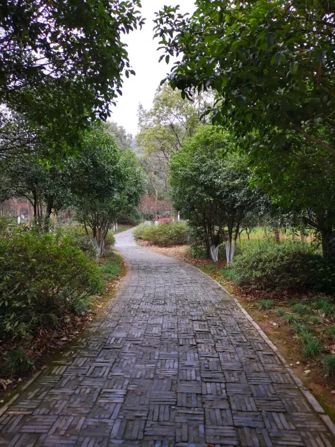 湘湖行人走道