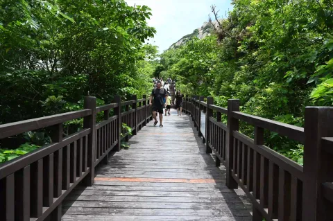 舟山朱家尖白山21