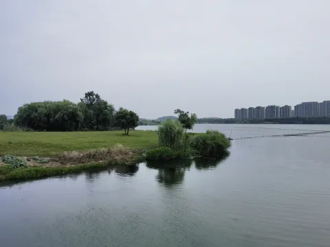 西山漾5