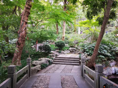 龙井路，龙井问茶，寻龙井古址