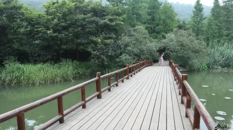 玉皇山下八卦田的景色