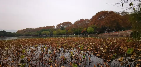 西冷桥边的景色