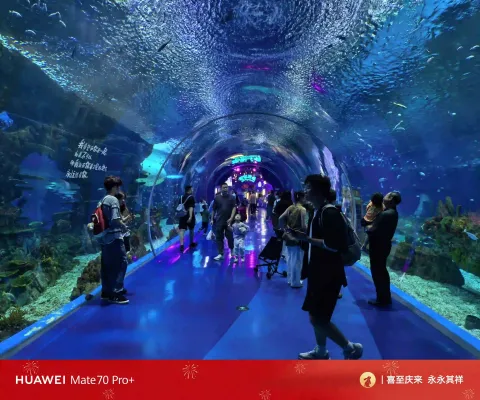 上海海昌海洋公园游玩7