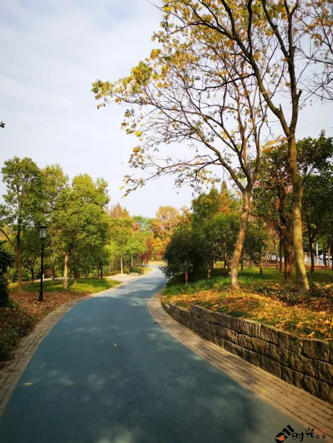 湘湖东岸的人行走道